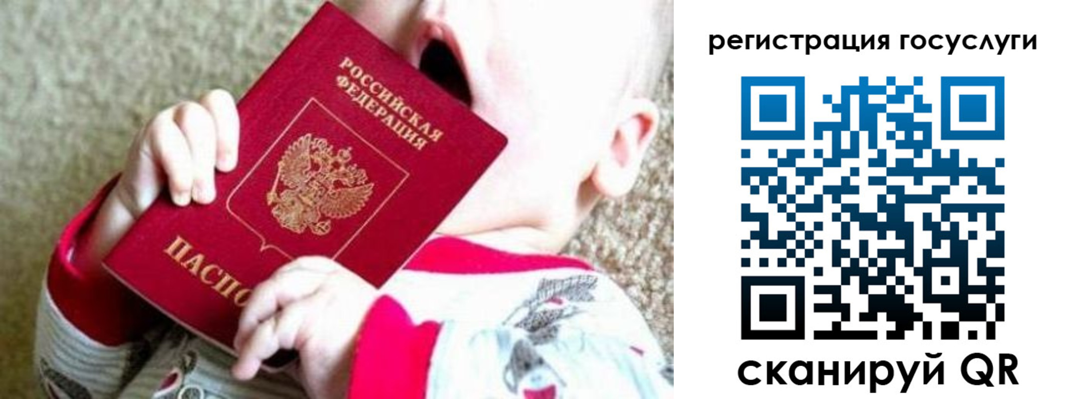 прописка гарантия в Новочеркасске